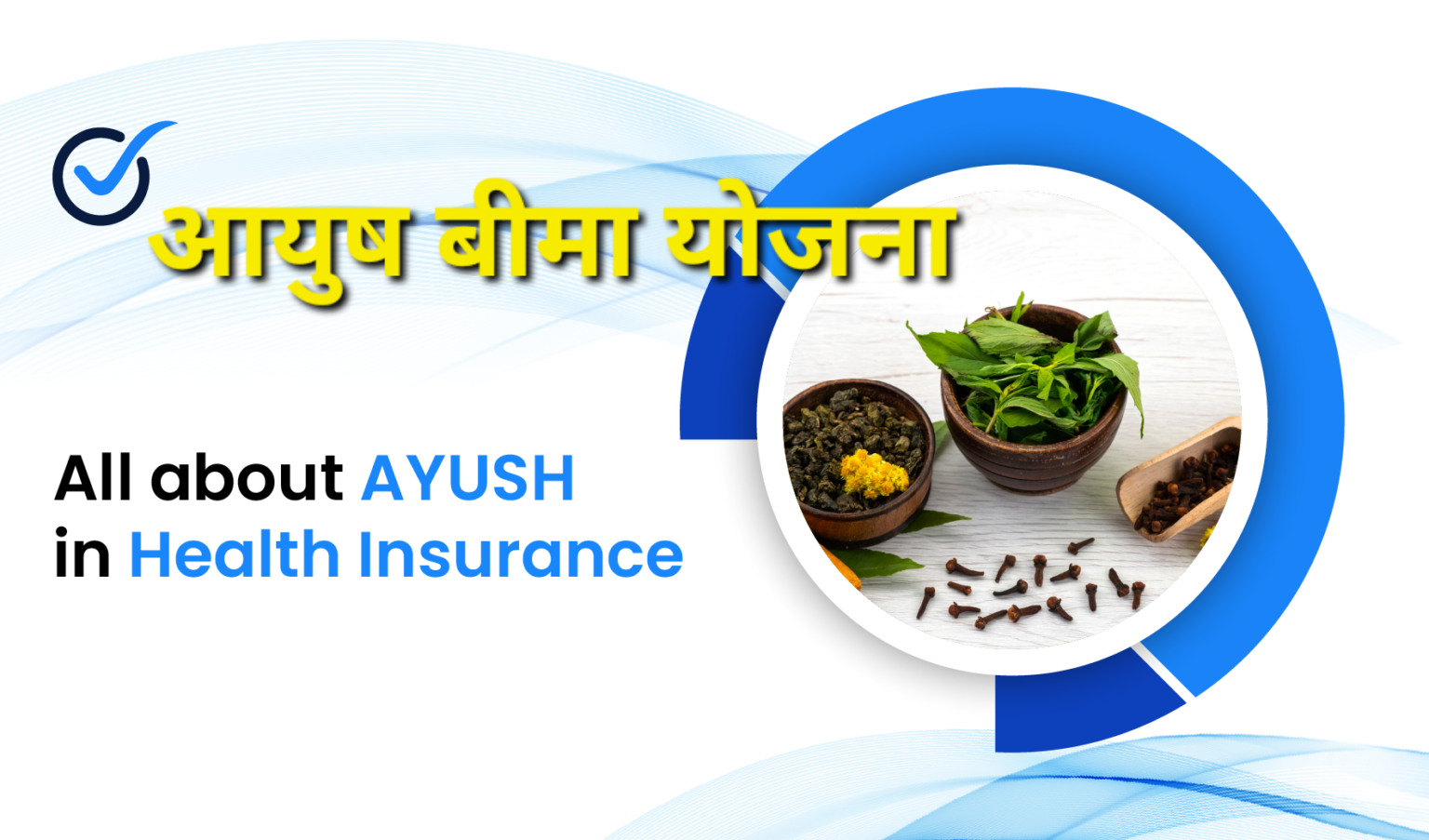 स्वास्थ्य सुविधा के लिए आयुष बीमा में मिलेगा बड़ा लाभ, सरकार करने जा रही यह व्यवस्था