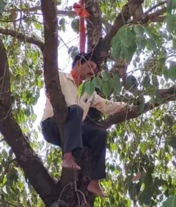 नाराज बाबू का हाई वोल्टेज ड्रामा, फंदा लगाकर पेड़ पर बैठा, जानिए फिर क्या हुआ