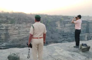 vulture state rewa MadhyaPradesh