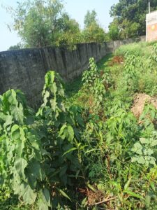 Here people themselves changed the shape of the drain and made it a drain