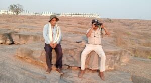 During winters, three species of vultures come from outside to Rewa