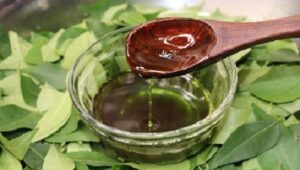गर्मी के दिनों में भी बाल झड़ते हैं तो आ गया रोकने का आसान तरीका Hair fall in summer Coconut oil for hair fall Curry leaves for hair growth