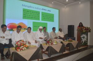 सुंदरजा के साथ अब आम्रपाली और मल्लिका का विदेश में दिखेगा जलवा APEDA meeting held in Rewa for the first time