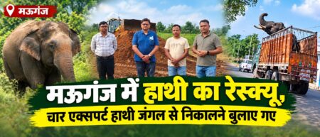 मऊगंज के जंगल में हाथी का रेस्क्यू, एक्सपर्ट टीम के छूट रहे पसीने मऊगंज: करंट से हाथी की मौत, दूसरे हाथी का रेस्क्यू शुरू